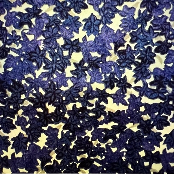 Talbots Floral Blue and White Pants capris - Picture 2 of 6